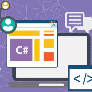 programming portfolio 300x300
